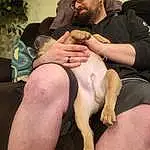 Joint, Glasses, Shoulder, Leg, Stomach, Muscle, Comfort, Dog, Shorts, Knee, Thigh, Chest, Lap, Fawn, Beard, Barechested, Barefoot, Elbow, Trunk, Companion dog