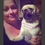 Dog, Pug, Smile, Dog breed, Carnivore, Gesture, Fawn, Companion dog, Happy, Wrinkle, Toy Dog, Snout, Magenta, Selfie, Photo Caption, Canidae, Square, Non-sporting Group, Furry friends