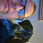 Nose, Glasses, Mouth, Eyes, Dog, Vision Care, Ear, Jaw, Dog breed, Carnivore, Gesture, Headgear, Cool, Picture Frame, Eyewear, Snout, Beard, Sculpture, Electric Blue, Hat