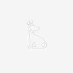 Dog, Dog breed, Carnivore, Companion dog, Toy Dog, Dog Supply, Gesture, Font, Happy, Event, Working Animal, Furry friends, Canidae, Fashion Accessory, Love, Art, Holiday, Petal, Non-sporting Group