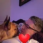 Glasses, Dog, Mouth, Comfort, Ear, Human Body, Picture Frame, Carnivore, Vision Care, Fawn, Dog breed, Companion dog, Whiskers, Selfie, Eyewear, Fun, Event, Abdomen, Furry friends