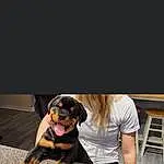 Dog, Dog breed, Sunglasses, Carnivore, Companion dog, Fawn, Happy, Eyewear, Flash Photography, Street Fashion, Canidae, Human Leg, Sitting, Working Dog, Fun, Photo Caption, Paw, Guard Dog, T-shirt