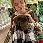 Dog, Outerwear, Dog breed, Plant, Carnivore, Sleeve, Working Animal, Collar, Companion dog, Liver, Fawn, Happy, Tree, Pattern, Canidae, Furry friends, Sitting, Plaid, Linens