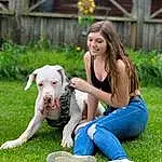 Jeans, Dog, Plant, Carnivore, Dog breed, Happy, Grass, Companion dog, Fawn, Leisure, People In Nature, Fun, Lawn, Recreation, Barefoot, Sitting, Tail, Canidae, Sports