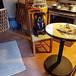 Furniture, Table, Wood, Interior Design, Chair, Automotive Design, Hardwood, Shelving, Room, Art, Desk, Platter, Visual Arts, Plywood, Plate, Wood Flooring, Machine, Metal