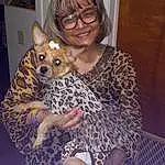 Hair, Face, Joint, Head, Smile, Skin, Glasses, Shoulder, Eyes, Vision Care, Human Body, Dog, Ear, Iris, Carnivore, Companion dog, Toy, Happy, Fawn, Eyewear