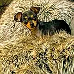 Dog, Plant, Light, Carnivore, Dog breed, Fawn, Grass, Tree, Terrestrial Animal, Snout, Companion dog, Wood, Furry friends, Event, Canidae, Trunk, Art, Painting, Working Animal