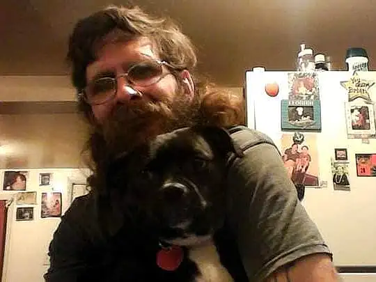 Glasses, Hairstyle, Dog, Picture Frame, Vision Care, Beard, Ear, Jaw, Carnivore, Dog breed, Gesture, Eyewear, Companion dog, Facial Hair, Fun, T-shirt, Snout, Selfie, Canidae, Moustache