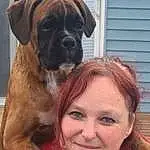 Dog, Smile, Carnivore, Dog breed, Fawn, Companion dog, Happy, Snout, Working Animal, Selfie, Canidae, Giant Dog Breed, Furry friends, Molosser, Boxer, Wrinkle, Working Dog, Jewellery, Guard Dog