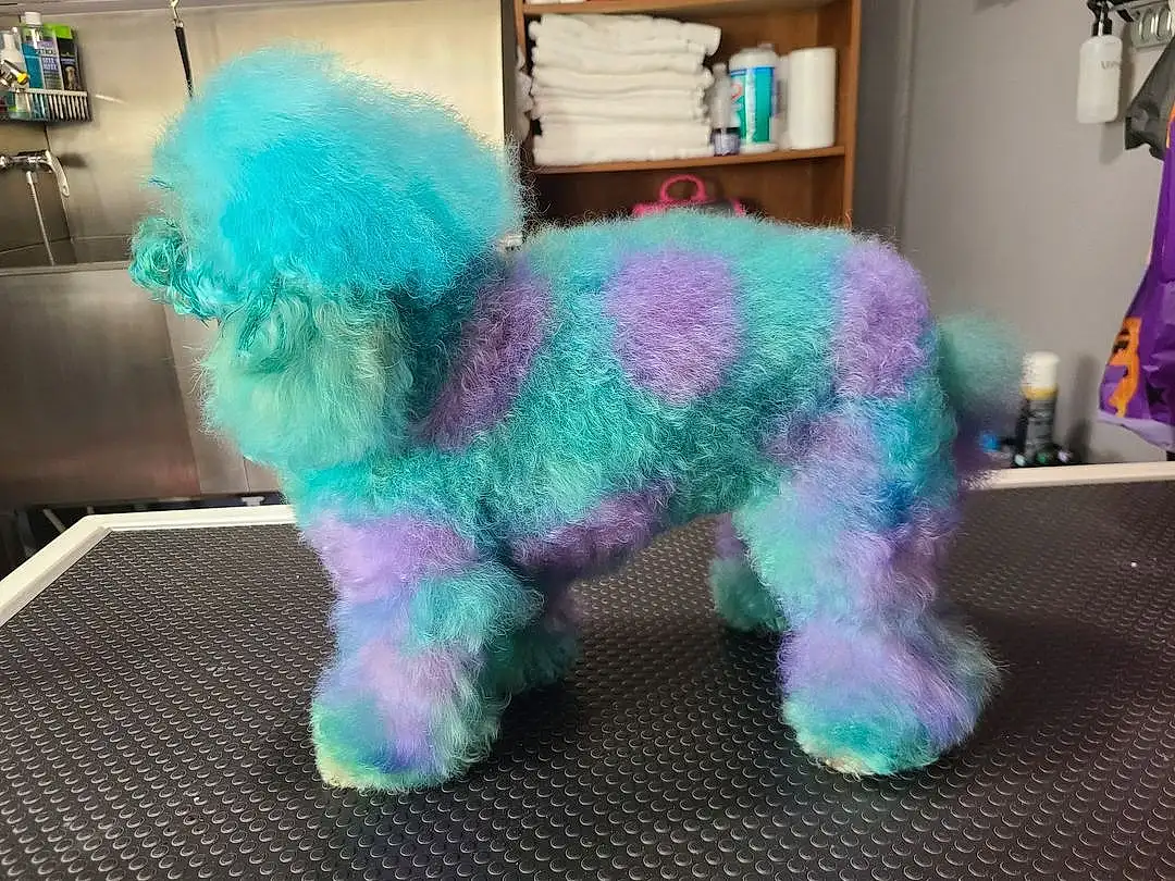 Purple, Canidae, Dog, Stuffed Toy, Furry friends, Wool, Toy, Textile, Toy Poodle, Plush, Toy Dog, Non-sporting Group