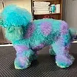 Purple, Canidae, Dog, Stuffed Toy, Furry friends, Wool, Toy, Textile, Toy Poodle, Plush, Toy Dog, Non-sporting Group
