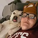 Glasses, Dog, Vision Care, Carnivore, Couch, Dog breed, Fawn, Companion dog, Comfort, Eyewear, Whiskers, Sunglasses, Snout, Cap, Selfie, Furry friends, T-shirt, Child, Toy Dog
