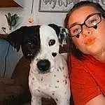 Glasses, Dog, Picture Frame, Vision Care, Working Animal, Dalmatian, Houseplant, Whiskers, Carnivore, Fawn, Plant, Companion dog, Flowerpot, Couch, Eyewear, Comfort, Dog breed, Collar, Canidae, Furry friends