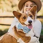 Dog, Dog breed, Fedora, Carnivore, Hat, Ear, Companion dog, Smile, Fawn, Sun Hat, Happy, Working Animal, Canidae, Cowboy Hat, Whiskers, Fashion Accessory, Furry friends, Tail, Fun, Ancient Dog Breeds