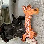 Giraffe, Giraffidae, Toy, Working Animal, Sculpture, Fawn, Creative Arts, Terrestrial Animal, Snout, Stuffed Toy, Art, Animal Figure, Wood, Tail, Liver, Dog breed, Livestock, Llama, Fashion Accessory