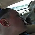 Nose, Mouth, Dog, Ear, Jaw, Eyelash, Gesture, Eyewear, Carnivore, Vehicle Door, Companion dog, Fun, Family Car, Hat, Car Seat, Head Restraint, Car, Auto Part, Guard Dog, Driving