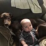Dog, Comfort, Carnivore, Baby, Toddler, Companion dog, Lap, Sitting, Dog breed, Baby Products, Couch, Linens, Furry friends, Baby & Toddler Clothing, Car Seat, Guard Dog, Child, Room, Nap