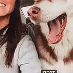 Nose, Smile, Dog, Mouth, Carnivore, Jaw, Eyelash, Dog breed, Happy, Flash Photography, Gesture, Interaction, Companion dog, Whiskers, Snout, Selfie, Furry friends, Sled Dog, Photo Caption