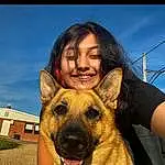 Dog, Smile, Sky, Dog breed, Carnivore, Jaw, Happy, Gesture, German Shepherd Dog, Flash Photography, Companion dog, Fawn, Window, Herding Dog, Snout, Fun, Selfie, Canidae