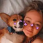 Nose, Skin, Dog, Dog breed, Carnivore, Ear, Iris, Eyelash, Companion dog, Fawn, Toy Dog, Whiskers, Snout, Happy, Working Animal, Dog Supply, Chihuahua, Canidae, Furry friends