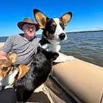 Sky, Dog, Water, Smile, Boat, Dog breed, Hat, Carnivore, Sunglasses, Vehicle, Companion dog, Fawn, Travel, Leisure, Recreation, Sun Hat, Watercraft, Snout