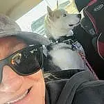 Glasses, Dog, Vision Care, Goggles, Mouth, Sunglasses, Human Body, Smile, Neck, Eyewear, Dog breed, Carnivore, Happy, Cool, Fawn, Companion dog, Snout, Selfie, Personal Protective Equipment, Fun