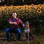 Plant, Flower, Dog, Smile, People In Nature, Carnivore, Grass, Fawn, Agriculture, Grassland, Dog breed, Happy, Petal, Meadow, Rural Area, Sunflower, Landscape, Prairie, Field