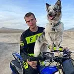 Sky, Vehicle, Cloud, Dog, Automotive Tire, Motorcycle, Dog breed, Carnivore, Motorcycling, Vroom Vroom, Travel, Automotive Design, Personal Protective Equipment, Glove, Motorcycle Racer, Racing, Recreation, Motorsport, Sports Equipment, Landscape