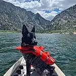 Water, Cloud, Dog, Sky, Mountain, Dog breed, Carnivore, Outdoor Recreation, Collar, Lake, Recreation, Boats And Boating--equipment And Supplies, Travel, Leisure, Dog Collar, Adventure, Canidae, Companion dog, Working Animal