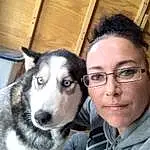 Nose, Glasses, Dog, Carnivore, Jaw, Ear, Vision Care, Dog breed, Fawn, Companion dog, Whiskers, Snout, Working Animal, Eyewear, Furry friends, Wood, Sled Dog, Selfie, Siberian Husky