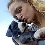 Nose, Sky, Dog, Ear, Jaw, Carnivore, Happy, Gesture, Dog breed, Fawn, Companion dog, Kiss, People In Nature, Toy Dog, Whiskers, Selfie, Romance, Furry friends, Love, Fun