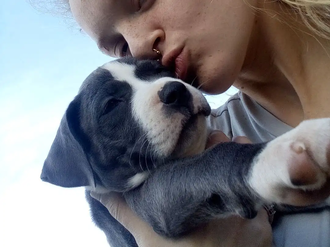Nose, Sky, Dog, Ear, Jaw, Carnivore, Happy, Gesture, Dog breed, Fawn, Companion dog, Kiss, People In Nature, Toy Dog, Whiskers, Selfie, Romance, Furry friends, Love, Fun
