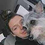 Dog, Dog breed, Carnivore, Smile, Ear, Companion dog, Snout, Vehicle Door, Small Terrier, Family Car, Toy Dog, Comfort, Personal Luxury Car, Furry friends, Canidae, Automotive Design, Luxury Vehicle, Sitting, Auto Part