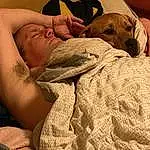 Dog, Comfort, Jaw, Working Animal, Carnivore, Fawn, Dog breed, Companion dog, Linens, Wrinkle, Wood, Chest, Bedding, Selfie, Abdomen, Furry friends, Room, Bed, Canidae