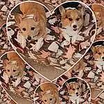 Brown, Dog, Dog breed, Carnivore, Wood, Companion dog, Fawn, Snout, Pattern, Canidae, Working Animal, Art, Furry friends, Terrestrial Animal, Whiskers