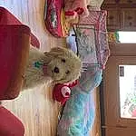 Toy, Textile, Wood, Fawn, Tree, Art, Companion dog, Stuffed Toy, Teddy Bear, Room, Plush, Furry friends, Tail, Bookcase, Baby Toys, Shelf, Play, Visual Arts, Dog breed, Child
