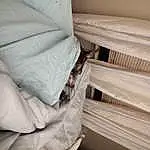 Comfort, Wood, Window, Linens, Pillow, Beige, Bedding, Hardwood, Duvet, Bed Sheet, Curtain, Room, Window Treatment, Throw Pillow