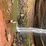 Water, Waterfall, Wood, Biome, Landscape, Bedrock, Formation, Plant, Natural Landscape, Water Feature, Trunk, Spring, Geology, Rock, Fault, Stream, Soil, Chute, Sport Climbing, Recreation