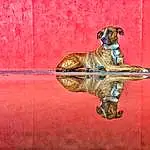 Dog, Carnivore, Wood, Dog breed, Fawn, Snout, Working Animal, Art, Companion dog, Canidae, Metal, Tail, Religious Item, Hardwood, Bicycle Handlebar, Rectangle, Still Life Photography, Door Handle
