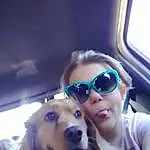 Glasses, Dog, Vision Care, Goggles, Sunglasses, Dog breed, Carnivore, Eyewear, Happy, Companion dog, Selfie, Fun, Vehicle Door, Travel, Electric Blue, Personal Protective Equipment, Family Car, Car Seat, Furry friends