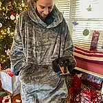 Christmas Tree, Dog, Sleeve, Fawn, Window Blind, Christmas, Companion dog, Event, Pattern, Fur Clothing, Furry friends, Fashion Design, Fashion Accessory, Holiday, Bag, Sitting, Conifer, Christmas Eve, Dog breed, Winter