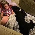 Comfort, Dog, Thigh, Toddler, Automotive Tire, Human Leg, Fun, Pattern, Knee, Sitting, Linens, Baby, Lap, Child, Furry friends, Room, Play