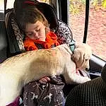 Dog, Comfort, Carnivore, Fawn, Companion dog, Window, Dog breed, Vehicle Door, Toddler, Tree, Car Seat, Auto Part, Furry friends, Baby Products, Family Car, Sitting, Nap, Child, Canidae