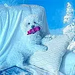 Snow, Textile, Purple, Freezing, Sky, Ice Cap, Electric Blue, Magenta, Polar Ice Cap, Winter, Stuffed Toy, Linens, Pillow, Bedding, Furry friends, Plush, Frost, Pattern, Arctic, Wool