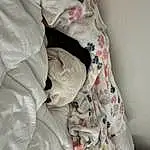 Comfort, Textile, Sleeve, Grey, Bed, Linens, Bedding, Pattern, Carmine, Bed Sheet, Baby Products, Bedroom, Room, Duvet, Child, Baby & Toddler Clothing, Blanket, Plastic Bag, Paper