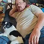 Glasses, Comfort, Dog breed, Carnivore, Felidae, Chair, Companion dog, Lap, Small To Medium-sized Cats, Eyewear, Whiskers, Furry friends, Human Leg, Sitting, Elbow, Canidae, Thigh, Knee, Couch