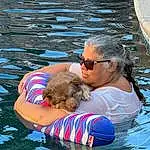 Water, Glasses, Dog, Muscle, Sunglasses, Azure, Goggles, Carnivore, Gesture, Happy, Leisure, Fun, Dog breed, Summer, Recreation, Companion dog, Swimming Pool, Personal Protective Equipment