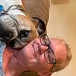 Nose, Glasses, Skin, Dog, Vision Care, Ear, Eyewear, Gesture, Carnivore, Dog breed, Fawn, Companion dog, Whiskers, Smile, Toy Dog, Happy, Sunglasses, Snout, Wrinkle