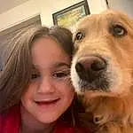 Nose, Face, Smile, Dog, Eyebrow, Dog breed, Carnivore, Ear, Jaw, Picture Frame, Iris, Happy, Companion dog, Fawn, Snout, Long Hair, Whiskers, Blond, Selfie, Fun