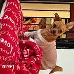 Outerwear, Textile, Sleeve, Gesture, Pink, Fawn, Carnivore, Comfort, Child, Magenta, Companion dog, Baby & Toddler Clothing, T-shirt, Holiday, Human Leg, Stuffed Toy, Fun, Carmine, Dog breed, Linens